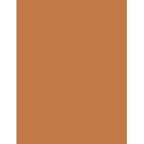 Estée Lauder Bronze Goddess   21G 03 Medium Deep   Ženski (Bronzer)