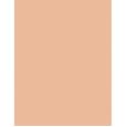 Missha M Perfect Cover BB Cream EX  SPF42   No.25 Warm Beige 20ml(BB Cream) Ženski