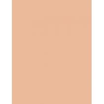 Missha M Perfect Cover BB Cream EX  SPF42   No.25 Warm Beige 20ml(BB Cream) Ženski