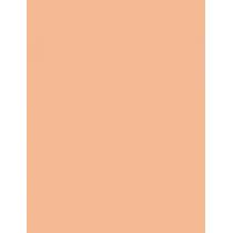 Artdeco Fluid Camouflage Foundation      Warm 24 Golden Beige 20ml(Makeup) Ženski