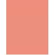Benefit Shellie Blush 2,5G  Ženski  (Blush)  Warm Seashell-Pink