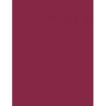 Max Factor Lipfinity Lip Colour  4,2G 055 Sweet   Ženski (Šminka)