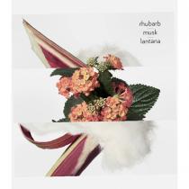 Hermes Eau De Rhubarbe Écarlate 200Ml    (Eau De Cologne) Unisex  