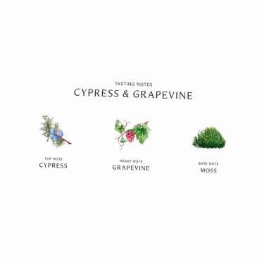 Jo Malone Cypress & Grapevine 100Ml    (Eau De Cologne) Unisex  