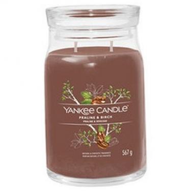 Yankee Candle Signature Praline & Birch      567g(Scented Candle) Unisex