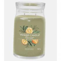 Yankee Candle Signature 567G Sage & Citrus   (Scented Candle) Unisex  