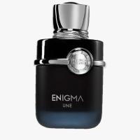 French Avenue Enigma 100Ml Une   (Eau De Parfum) Moški  