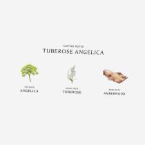 Jo Malone Tuberose Angelica 100Ml    (Eau De Cologne) Ženski  