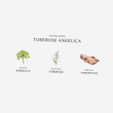 Jo Malone Tuberose Angelica 100Ml    (Eau De Cologne) Ženski  