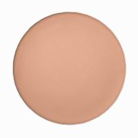 Shiseido Sun Protection 12G Tanning Compact Foundation Refill Spf10 (Makeup) Ženski  Bronze