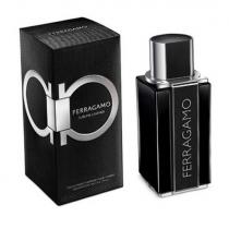 Ferragamo Ferragamo Sublime Leather      100ml(Eau de Parfum) Moški