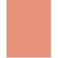 Shiseido Colorgel Lip Balm   2G 102 Narcissus   Ženski (Šminka)