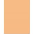 Bourjois Paris Healthy Mix 30Ml Clean & Vegan Bb Cream   (Bb Cream) Ženski  03.5 Warm Beige