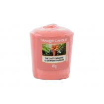 Yankee Candle The Last Paradise   49G    Unisex (Dišeca Sveca)