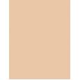 Shiseido Synchro Skin Self-Refreshing Custom Finish Powder Foundation     110 Alabaster 9g(Makeup) Ženski