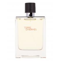 Hermes Terre D´Hermes   100Ml    Moški (Eau De Toilette)