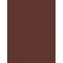 Rimmel London Professional Eyebrow Pencil   1,4G 002 Hazel   Ženski (Svincnik Za Obrvi)