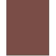 Inebrya Color 100Ml    (Hair Color) Unisex  5/4 Light Chestnut Copper