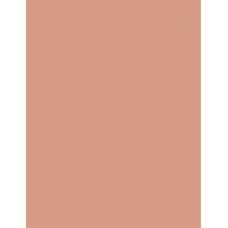 Physicians Formula Butter Believe It! Foundation + Concealer  30Ml Fair-To-Light   Ženski (Makeup)