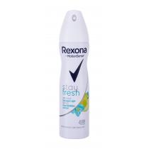 Rexona Motionsense Stay Fresh  150Ml   48H Ženski (Antiperspirant)