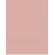 Rimmel London Stay Matte   14G 002 Pink Blossom   Ženski (Puder)