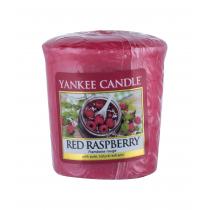 Yankee Candle Red Raspberry   49G    Unisex (Dišeca Sveca)