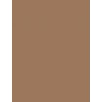 Catrice Eye Brow Stylist      1,4G Ženski (Eyebrow Pencil)