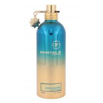 Montale Aoud Lagoon   100Ml    Unisex (Eau De Parfum)