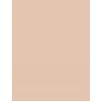 Artdeco Light Luminious Foundation      Neutral 08 Neutral Porcelain 25ml(Makeup) Ženski