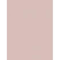 Essie Nail Polish   13,5Ml 06 Ballet Slippers   Ženski (Lak Za Nohte)