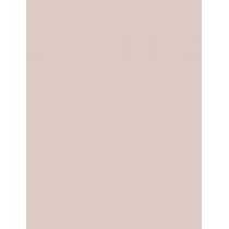 Shiseido Synchro Skin Invisible Silk Loose  6G Radiant   Ženski (Puder)