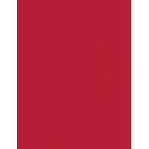 Loreal Paris Color Riche Intense Volume Matte Colors Of Worth 1,8G  Ženski  (Lipstick)  300 Le Rouge Confident