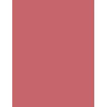 L'Oréal Paris Color Riche Lipcolour  3,6G 235 Nude   Ženski (Šminka)