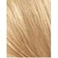 Revlon Colorsilk Beautiful Color  59,1Ml 81 Light Blonde   Ženski (Barva Las)