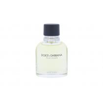 Dolce & Gabbana Pour Homme      75Ml Moški (Eau De Toilette)