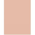 Clinique Beyond Perfecting Powder Foundation + Concealer  14,5G 0.5 Brezee   Ženski (Makeup)