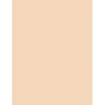 Revlon Colorstay Combination Oily Skin  30Ml 110 Ivory  Spf15 Ženski (Makeup)