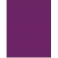 Inebrya Color      5/62 Light Chestnut Red Violet 100ml(Hair Color) Unisex