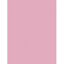 Sally Hansen Miracle Gel   14,7Ml 160 Pinky Promise   Ženski (Lak Za Nohte)