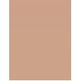 Shiseido Synchro Skin Self-Refreshing  30Ml 250 Sand  Spf30 Ženski (Makeup)