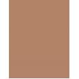 Shiseido Synchro Skin Self-Refreshing  5,8Ml 302 Medium   Ženski (Korektor)