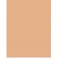 Mac Studio Radiance Face And Body Radiant Sheer Foundation  50Ml N1   Ženski (Makeup)