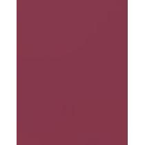 L'Oréal Paris Color Riche   4,8G 112 Paris Paris   Ženski (Šminka)