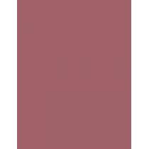 Maybelline Superstay Vinyl Ink Liquid 4,2Ml  Ženski  (Lipstick)  110 Awestruck