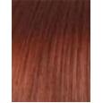 L'Oréal Professionnel Hair Touch Up   75Ml Mahogany Brown   Ženski (Barva Las)