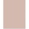 L'Oréal Paris Infaillible More Than Concealer  11Ml 323 Fawn   Ženski (Korektor)