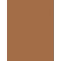 Estée Lauder Double Wear Stay In Place  30Ml 5W1 Bronze  Spf10 Ženski (Makeup)