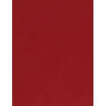 Max Factor Colour Elixir   4G 075 Ruby Tuesday   Ženski (Šminka)