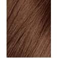 Revlon Colorsilk Beautiful Color Hair Color Colorsilk Beautiful Color 59,1 Ml + Developer 59,1 Ml + Conditioner 11,8 Ml + Gloves 59,1Ml 43 Medium Golden Brown   Ženski (Barva Las)