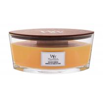 Woodwick Seaside Mimosa   453,6G    Unisex (Dišeca Sveca)